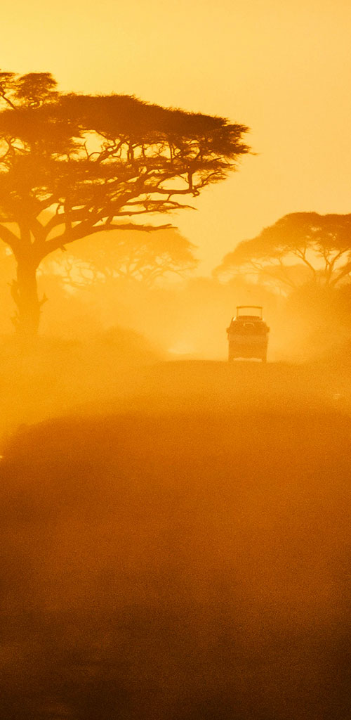 in the distance a jeep and a baobab on a dirt road