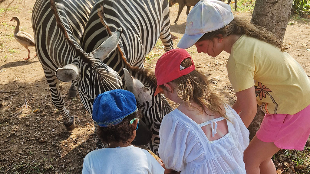 three little girls petting zebras