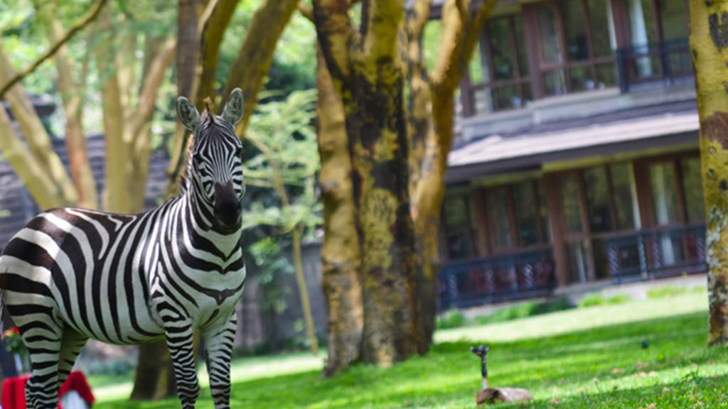 Lake Naivasha Simba lodge