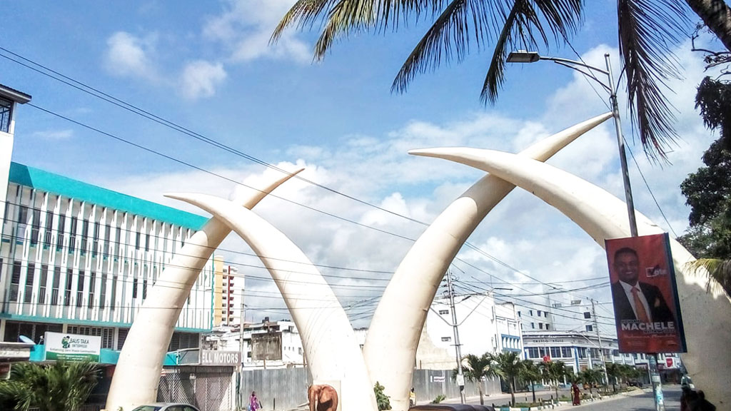 Mombasa elephant tusks