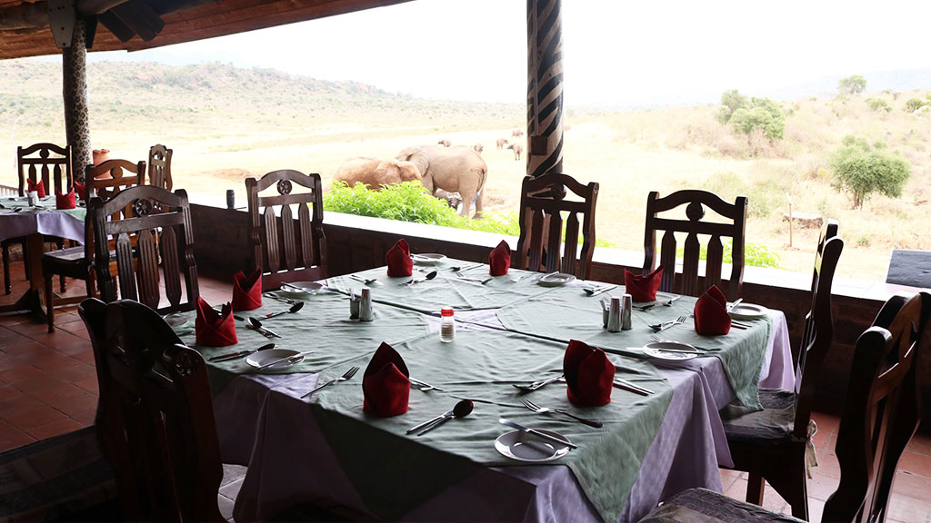 Ngulia Safari lodge