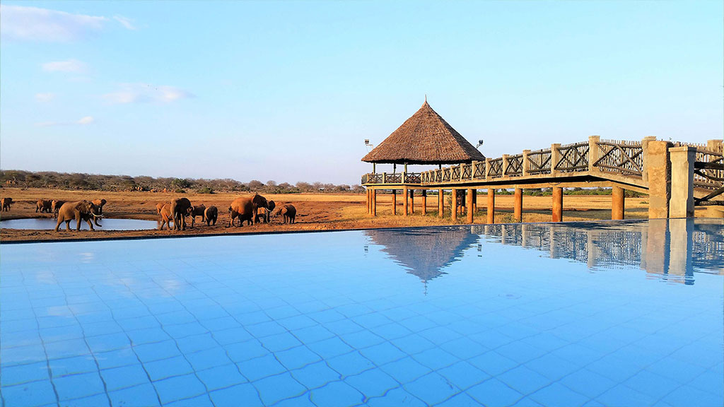 Voi Wildlife Lodge