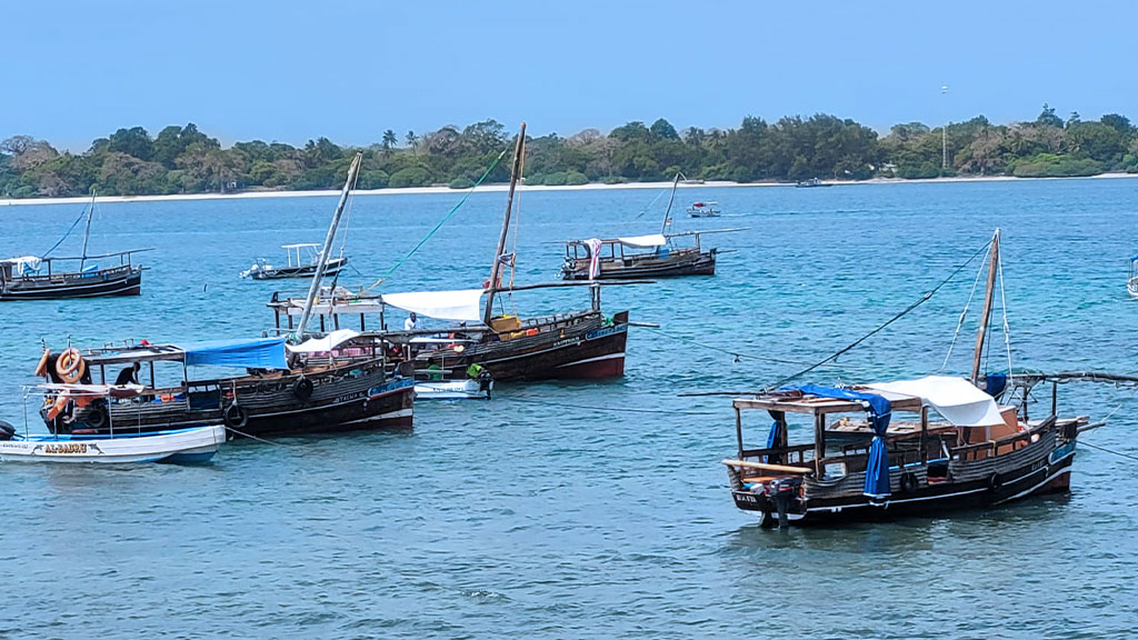 several boats